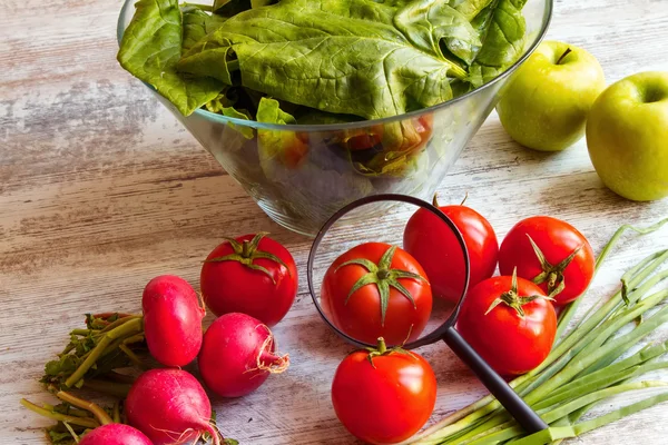 Analyzing food — Stock Photo, Image