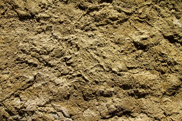 Cementvägg — Stockfoto