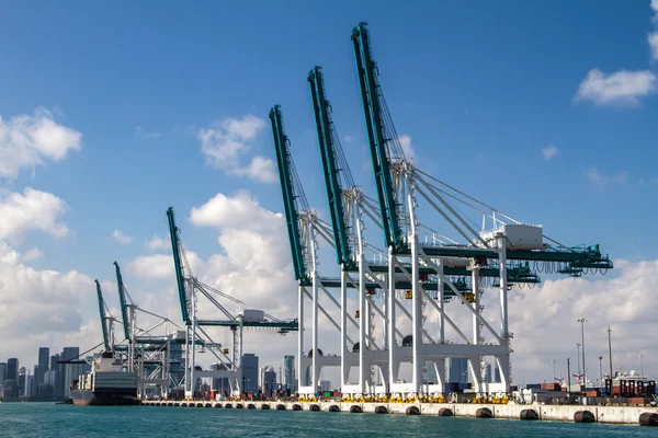 Miami Limanı