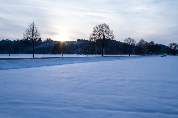 Campo nevado durante la puesta del sol —  Fotos de Stock