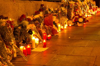 Paris terör saldırısı