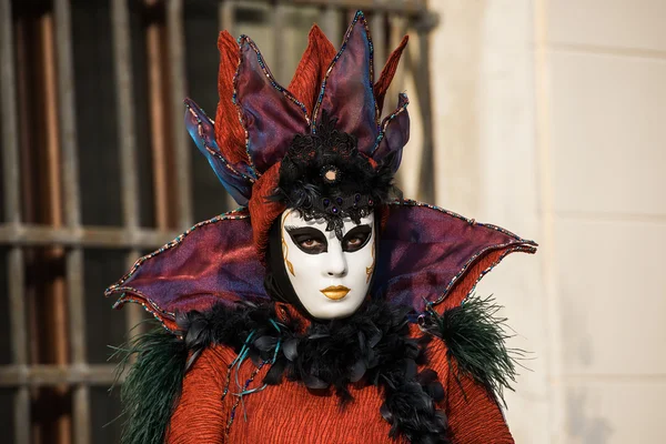 Venezia - 6 febbraio 2016: Colorata maschera di carnevale per le vie di Venezia — Foto Stock