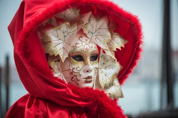 Venice, Italy - February 13, 2015: A wonderful mask participant of the annual carnival celebrations — Stock Photo, Image