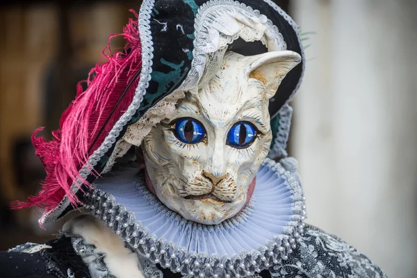 Veneza, Itália - 13 de fevereiro de 2015: Uma maravilhosa mascara participante das celebrações anuais do carnaval Imagem De Stock
