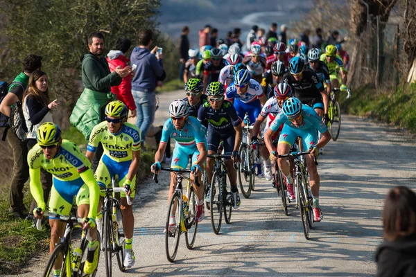 Castelraimondo, Italia 14 de marzo de 2015: Grupo de ciclistas durante una subida de una etapa del Tirreno Adriatico 2015 Imagen De Stock