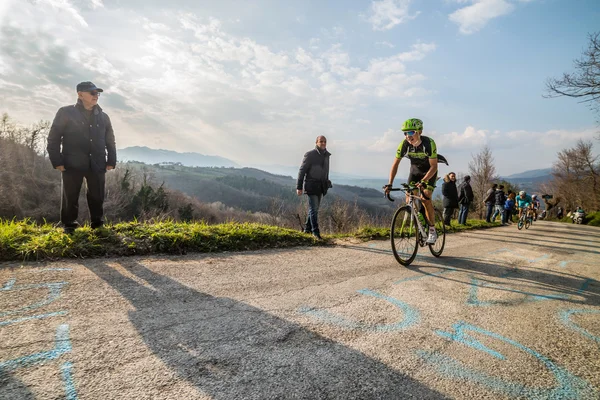 Castelraimondo, Itália 14 de março de 2015: Davide Formolo durante uma subida de uma etapa do Tirreno Adriatico 2015 Fotografias De Stock Royalty-Free