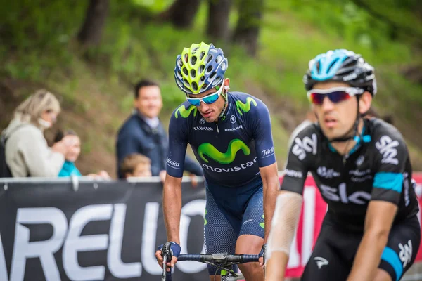 Sestriere, Italia 30 de mayo de 2015; Grupo de ciclistas profesionales aborda la última subida antes de la llegada —  Fotos de Stock