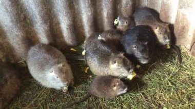 eğitimin aile eğitimin