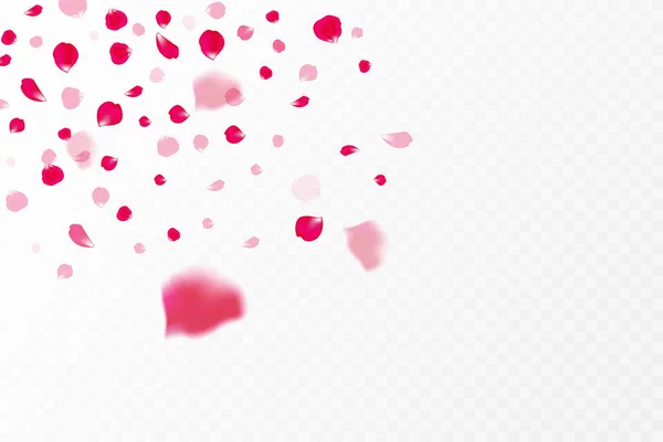Квіти Пелюстки Весняний Фон Літаючі Пелюстки Якому Рожевому Фоні Світло — стоковий вектор