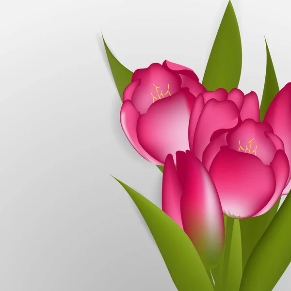 Vektorillustration Von Tulpen Floral Design Elements Global Farbe Verwendet — Stockvektor