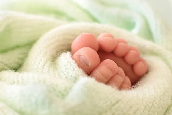 Nohy Novorozence Listem Kapradiny Zeleném Pozadí — Stock fotografie