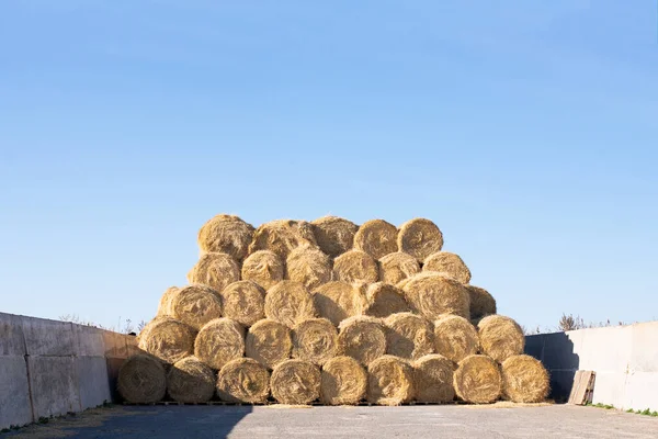 Empilements ronds de foin d'herbe sèche empilés pour le stockage. — Photo