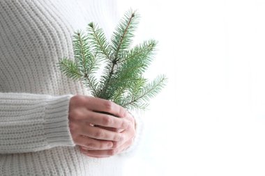 Beyaz örülü süveter giyen bir kızın elinde bir Noel ağacı. Minimalizm. Sıcak kış, yeni yıl