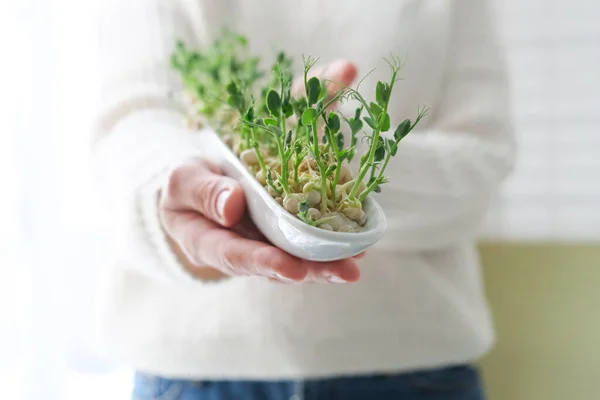 Ervilhas Microverdes Mãos Mulher Dia Terra Germinação Sementes Casa Espaço — Fotografia de Stock