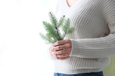 Beyaz örülü süveter giyen bir kızın elinde bir Noel ağacı. Minimalizm. Sıcak kış, yeni yıl