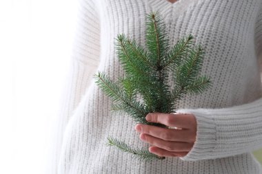 Beyaz örülü süveter giyen bir kızın elinde bir Noel ağacı. Minimalizm. Sıcak kış, yeni yıl
