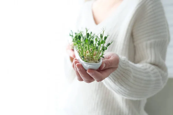 Ärtor Mikrogröna Kvinnliga Händer Jorddagen Frö Germination Hemma Utrymme För — Stockfoto