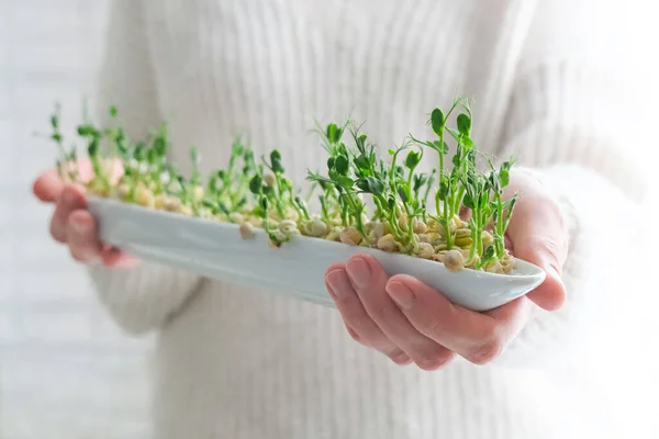 Ervilhas Microverdes Mãos Mulher Dia Terra Germinação Sementes Casa Espaço — Fotografia de Stock