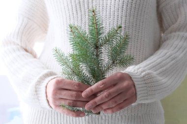 Beyaz örülü süveter giyen bir kızın elinde bir Noel ağacı. Minimalizm. Sıcak kış, yeni yıl