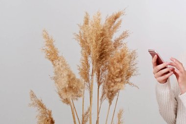 Kızıl saçlı kadın otları elinde tutuyordu. Reed sapı, kurutulmuş otlar, ev için dekoratif tüy kompozisyonu, plaj teması, yeni moda ev dekorasyonu.