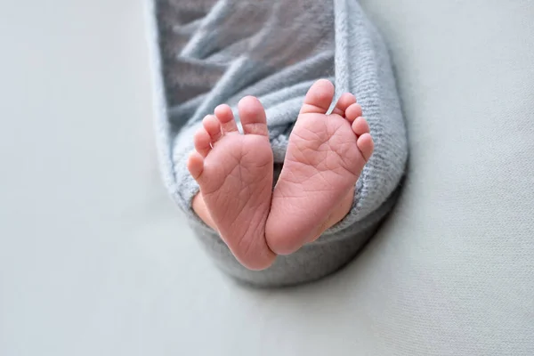Newborn Baby Feet Motherhood Concept Mother Day Copy Space Newborn — Stock Photo, Image