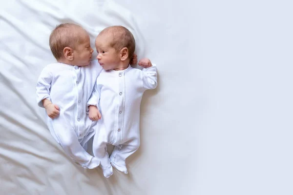 Gemelos Recién Nacidos Cama Los Brazos Sus Padres Sobre Fondo —  Fotos de Stock
