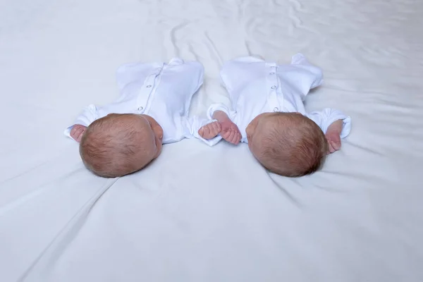 Yatakta Yeni Doğan Ikizler Anne Babalarının Kollarında Beyaz Bir Arka — Stok fotoğraf