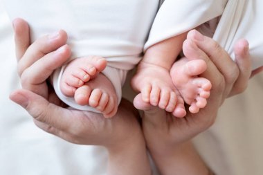 Mom and dad hands hold small legs of their two newborn twin babies. clipart