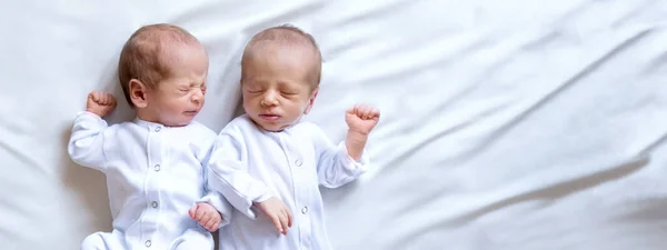 Nyfödda tvillingar på sängen, i armarna på sina föräldrar, på en vit bakgrund. Livsstil, känslor hos barn. Banderoll — Stockfoto