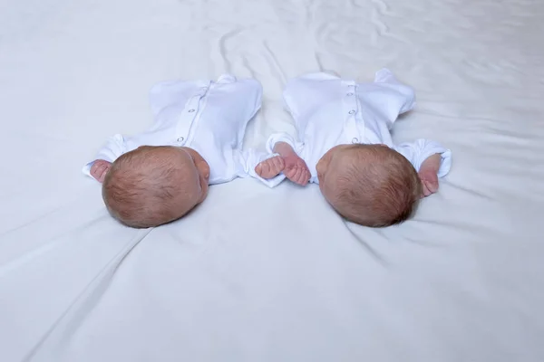 Gemelos recién nacidos en la cama, en los brazos de sus padres, sobre un fondo blanco. Estilo de vida, emociones de los niños. —  Fotos de Stock