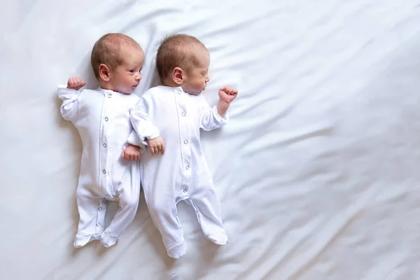 Gemelos recién nacidos en la cama, en los brazos de sus padres, sobre un fondo blanco. Estilo de vida, emociones de los niños. —  Fotos de Stock
