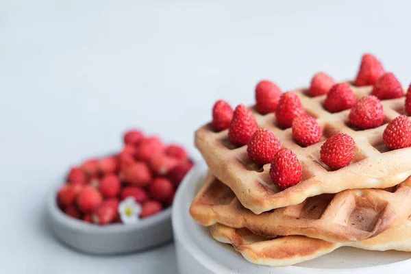 Belgian Viennese Waffles Strawberries Minimalistic Concrete Grey Background Delicious Sweet — Stock Photo, Image