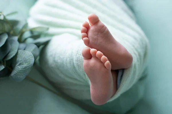 Foot of the newborn baby, tenderness. copy space in winter concept — Stock Photo, Image