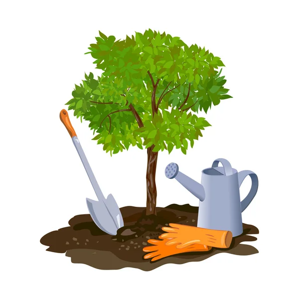 Plantar un árbol en el suelo — Archivo Imágenes Vectoriales