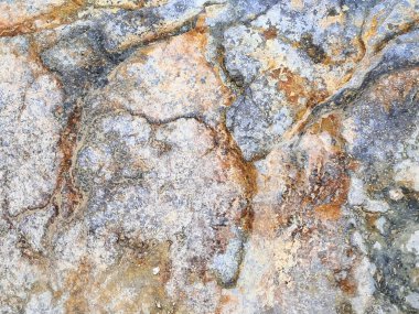 Ağır şekilde parçalanmış bir kaya yüzeyinin makro, soyut yakın çekimi. Derin çatlaklar, taşın üzerinde düzensiz, ağ benzeri bir desen oluşturur.