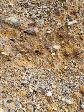 İki katman arasındaki keskin geçişi gösteren doğal bir jeolojik profil görüntüsü. Keskin sınır toprak katmanlaşmasını gösteriyor