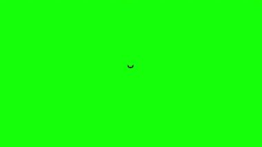 Ürkütücü Cadılar Bayramı Yarasa Uçuş Yolu Yeşil Ekran 4K