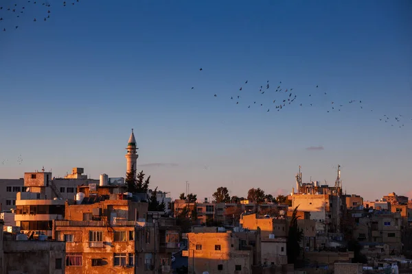 Amman şehir merkezine bak