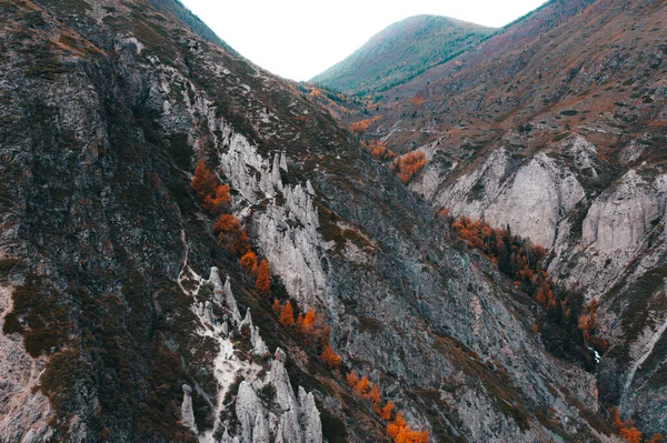 Altai dağları, Sibirya, Rusya 'daki eşsiz kaya oluşumlarının hava görüntüsü Taş mantarları