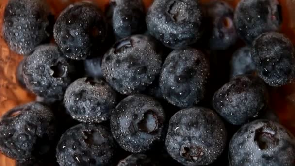 Bleuets Mûrs Dans Marché Aux Fruits Local Vue Dessus Diapositive — Video