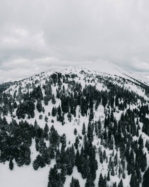Karpatya dağlarındaki dağların karlı tepeleri