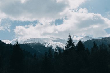 Karpatya dağlarındaki dağların karlı tepeleri