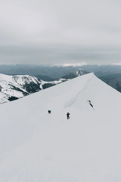 カルパティア山脈の山々の雪の谷 — ストック写真