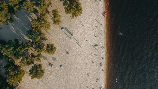 Beach with people, top view