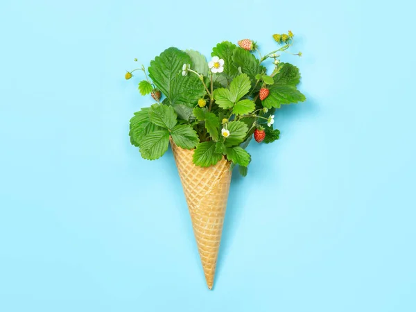有叶子 花和草莓蓝色背景的法夫拉锥 复制空间 概念照是一种新颖的礼物 正确的食物 从花园收获的 — 图库照片