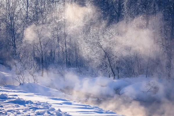 Сказочный Зимний Пейзаж Реке Туман Деревья Инее Светлый Зимний Солнечный — стоковое фото