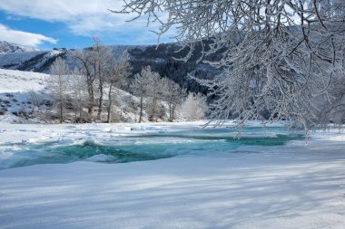 Nehirdeki muhteşem kış manzarası. Ağaç donundaki ağaçlar. Parlak kış güneşli bir gün. Rusya 'da kış, Altay. Noel kartı. Arkaplanda dağlar.