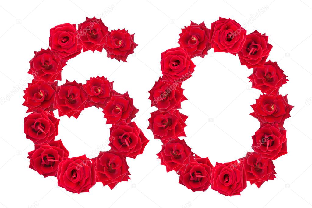 Numeral 60 made of red roses on a white isolated background. Red roses. Element for decoration. Sixty