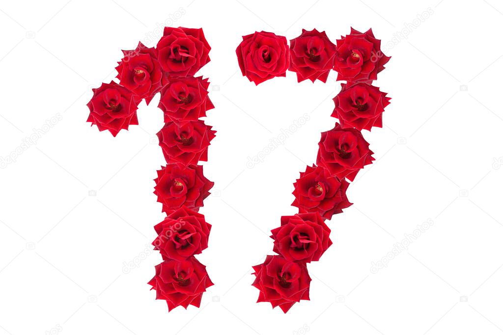 Numeral 17 made of red roses on a white isolated background. Red roses. Element for decoration. seventeen