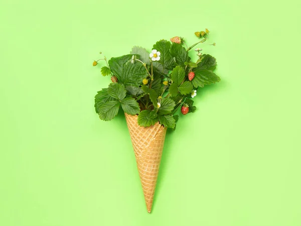 在绿色背景上的叶子 花和草莓的华夫锥形花冠 平躺在床上概念照是一种新颖的礼物 正确的食物 从花园收获的 — 图库照片